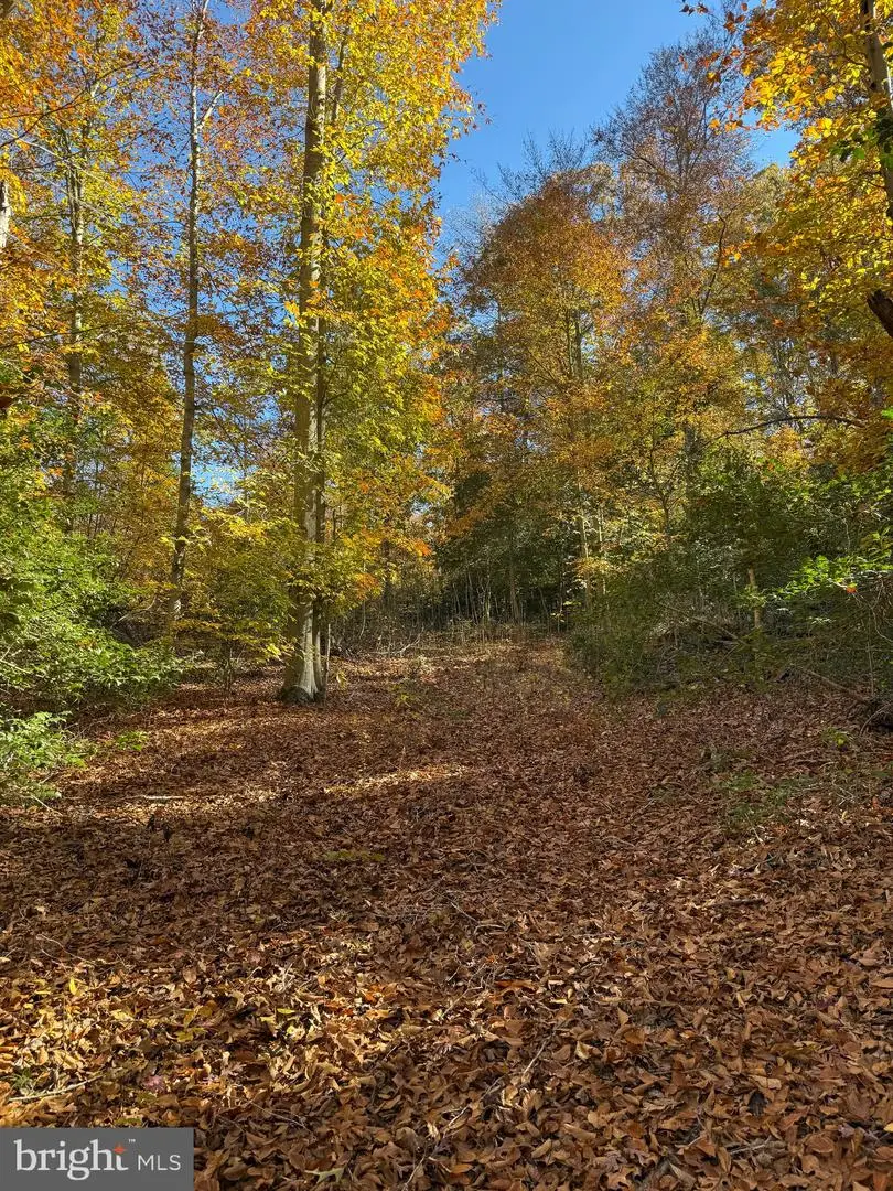 0 Old Sycamore Rd, Charlotte Hall, MD 20622 - Image #3