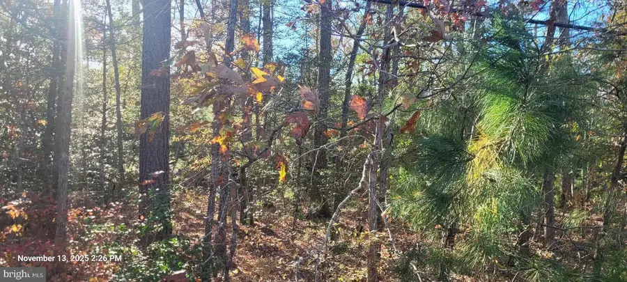 Rock Point, Newburg, MD 20664 - Image #2