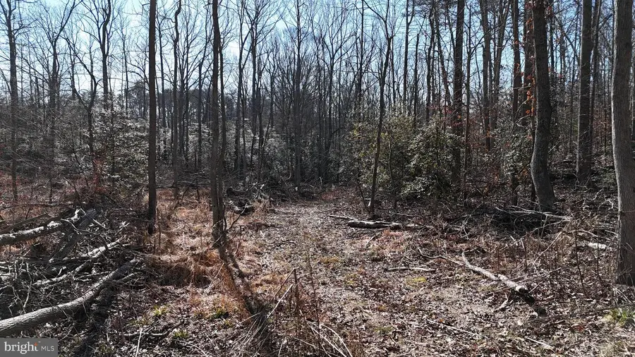 6355 Dusty Trail Pl, Hughesville, MD 20637 - Image #2