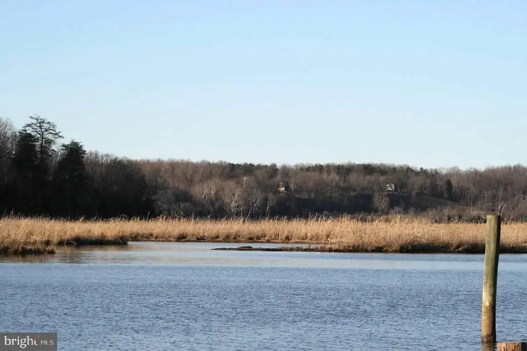 Tayloes Neck Rd, Nanjemoy, MD 20662 - Image #1