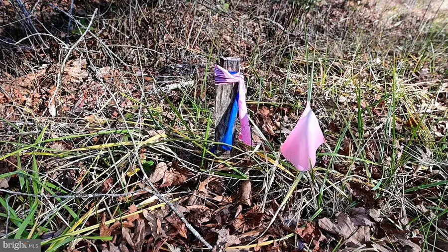 0 Stuckey Rd, Indian Head, MD 20640 - Image #3