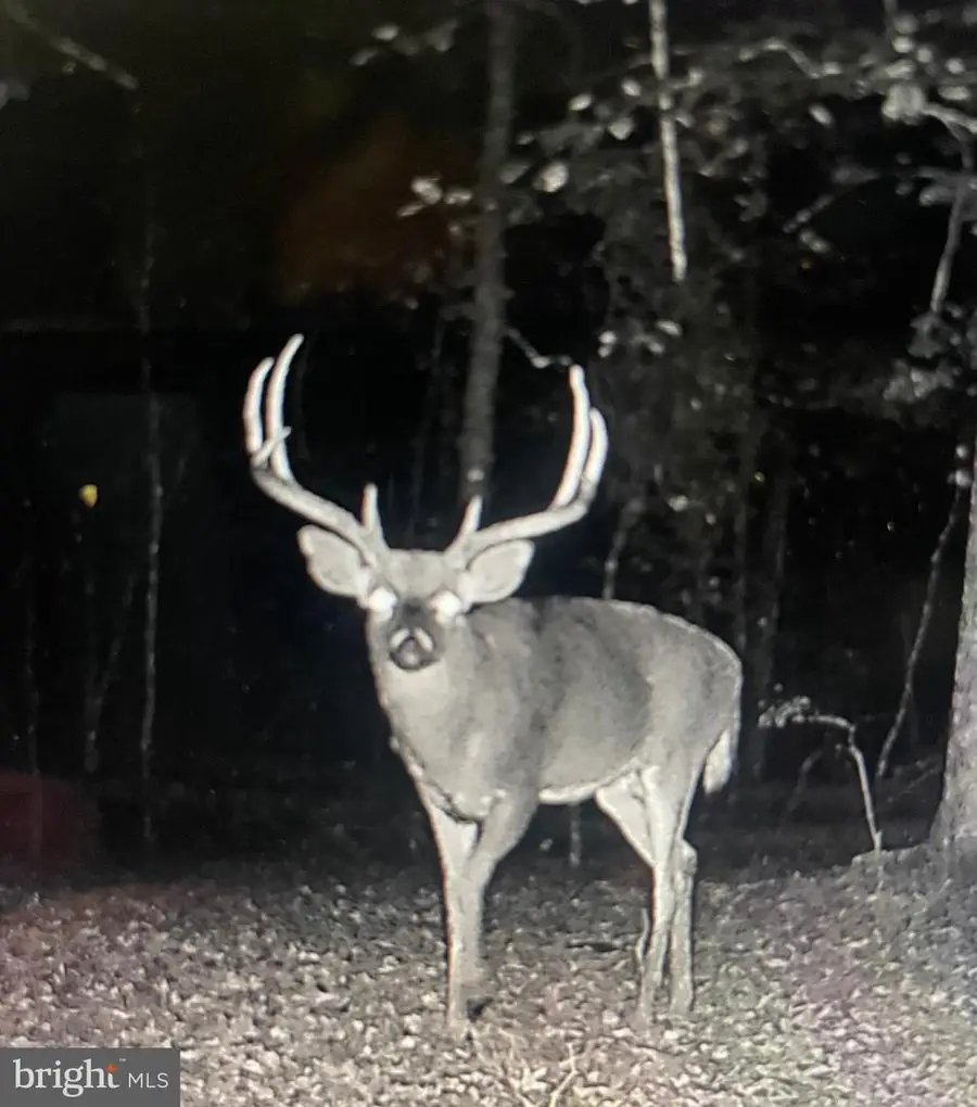 2555 Hancock Run Rd, Nanjemoy, MD 20662 - Image #3