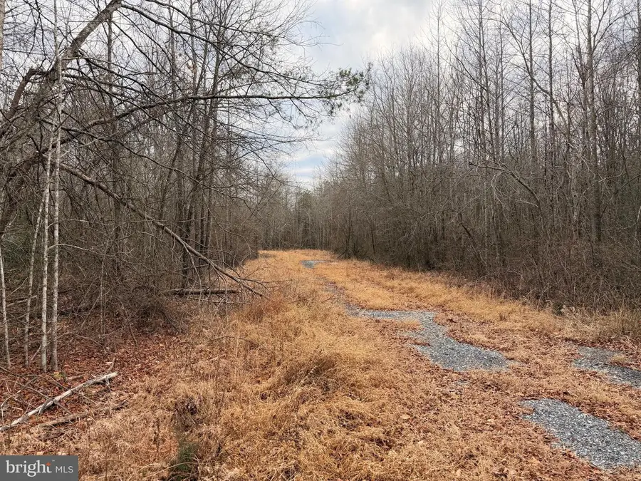 2521 Liverpool Point Rd, Nanjemoy, MD 20662 - Image #3