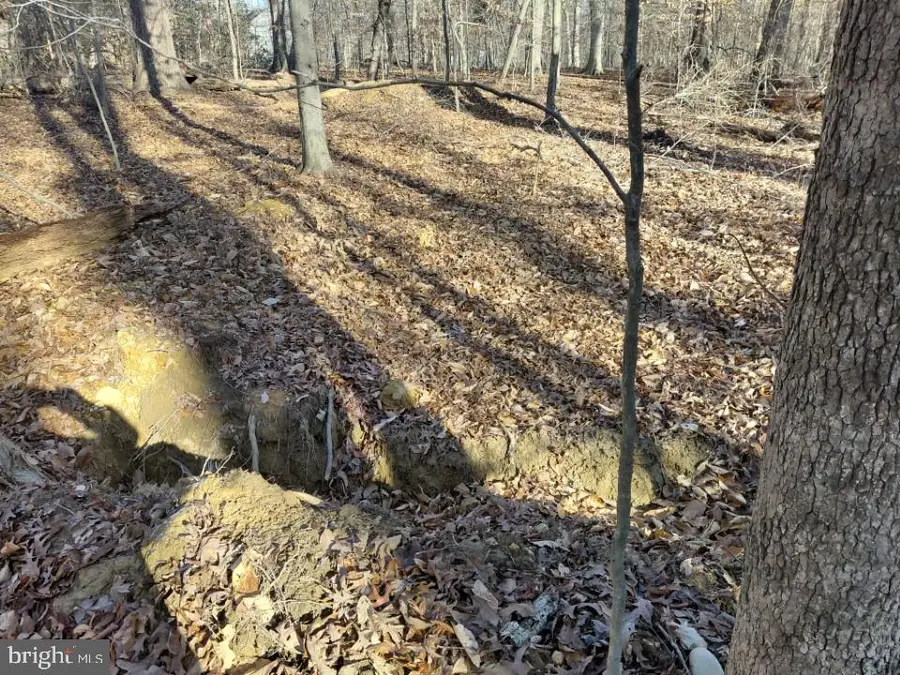 7060 Annapolis Woods Rd, La Plata, MD 20646 - Image #3