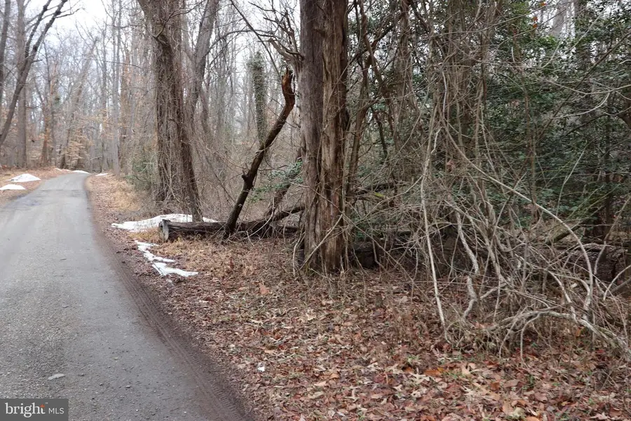 Lots 2-6 And 11-16 Penguin Pl, Bryans Road, MD 20616 - #2