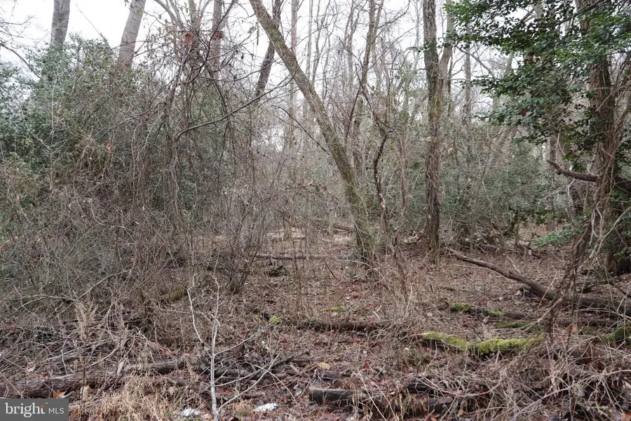 Lots 2-6 And 11-16 Penguin Pl, Bryans Road, MD 20616 - #3