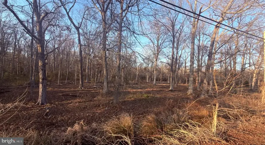 412 Indian Head Hwy, Indian Head, MD 20640 - #2