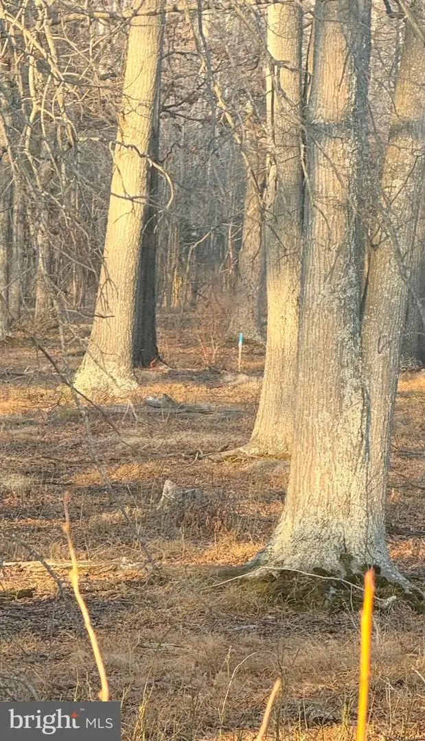 412 Indian Head Hwy, Indian Head, MD 20640 - #3