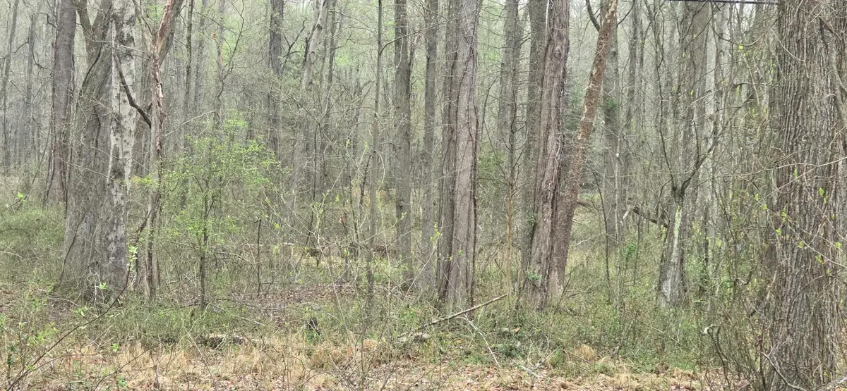 Keech Rd, Charlotte Hall, MD 20622 - #1