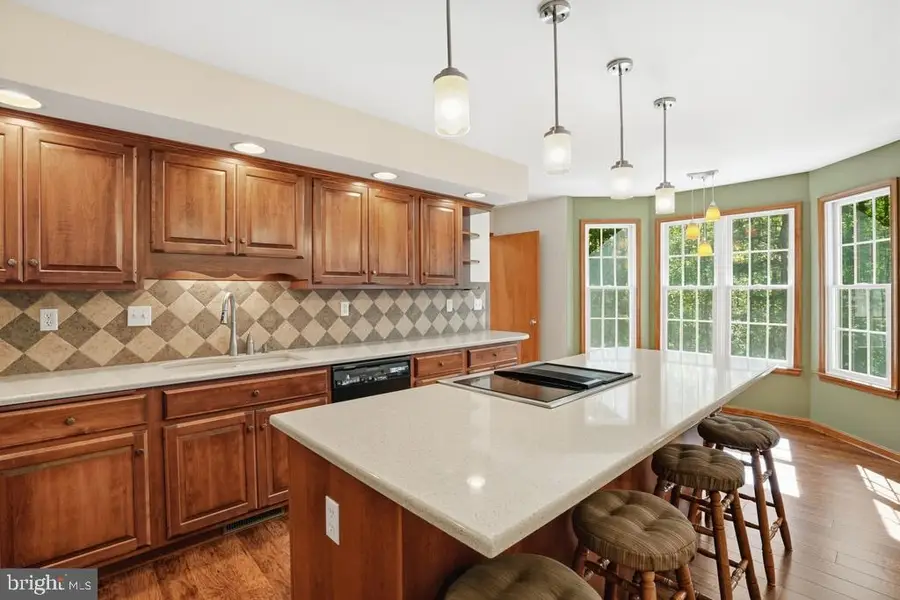 7173 Juliette Low Ln, Hughesville, MD 20637 - #3