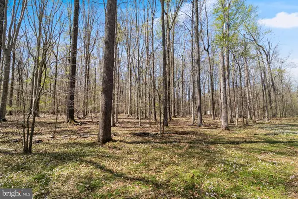 Lot 14 Billingsley Rd, WHITE PLAINS, MD 20695