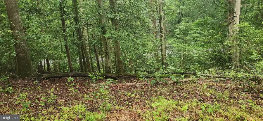Poorhouse Rd, Port Tobacco, MD 20677 - #3