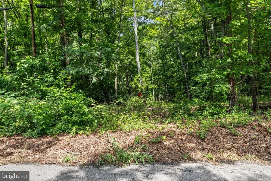 Shiloh Church Rd, Newburg, MD 20664 - #2