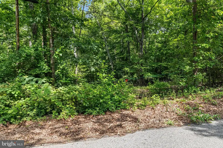 Shiloh Church Rd, Newburg, MD 20664 - #3