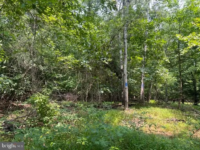 3590 Twinbrook Dr, Waldorf, MD 20603 - #2