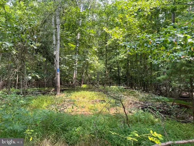 3590 Twinbrook Dr, Waldorf, MD 20603 - #3
