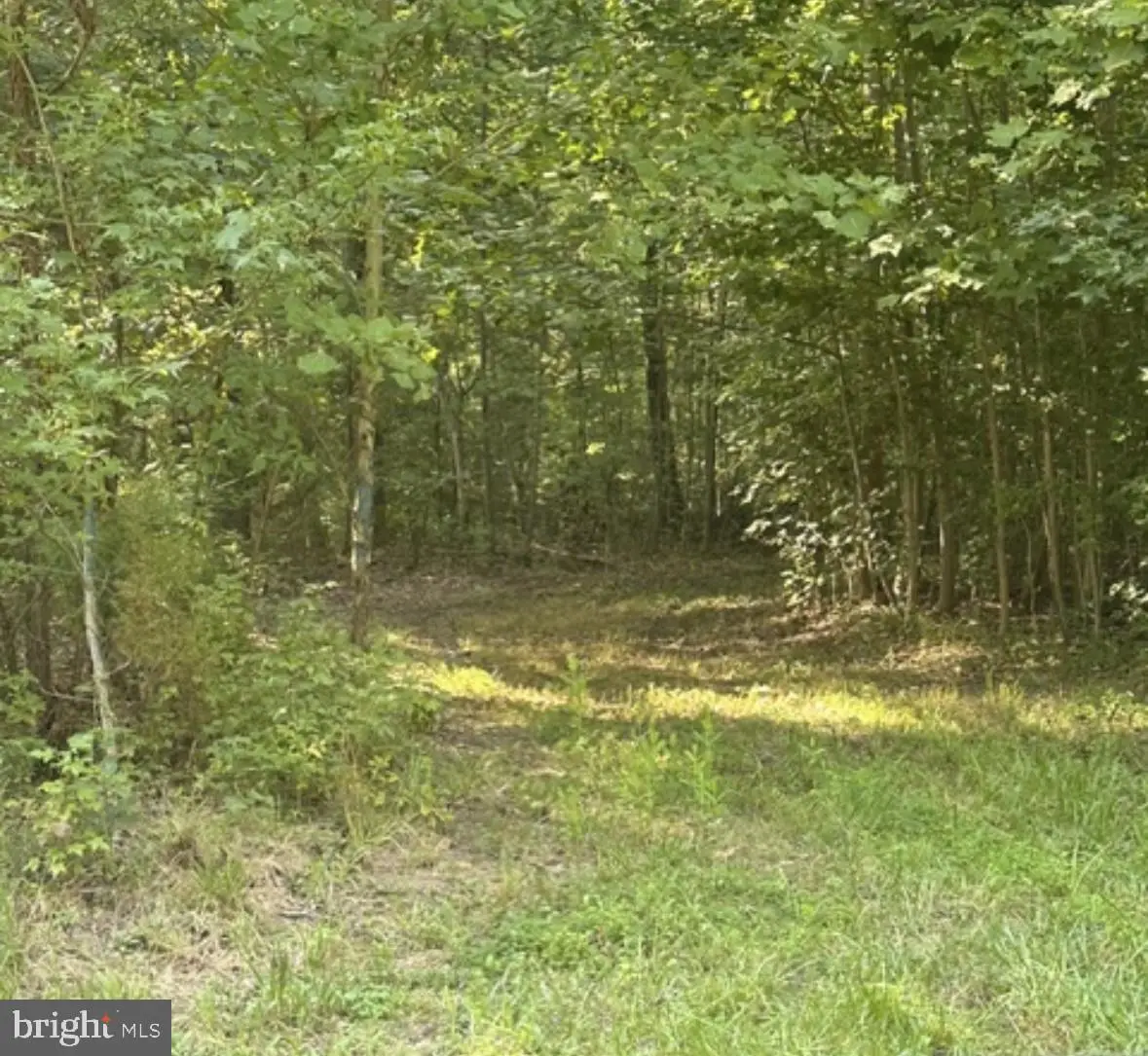 0 Shiloh Church Rd, Newburg, MD 20664 - #1