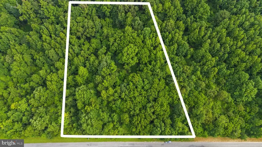 Burnt Mill Rd, Ridgely, MD 21660 - Image #2