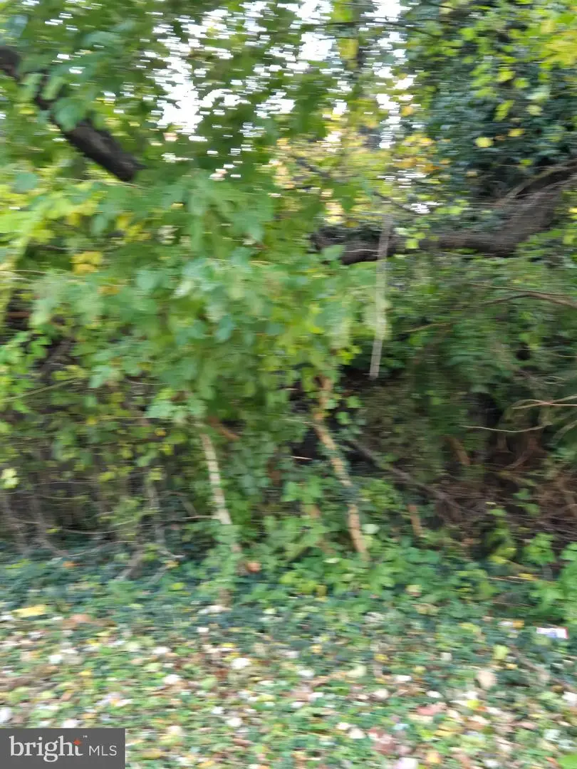 26519 3 Bridges Rd, Federalsburg, MD 21632 - Image #1