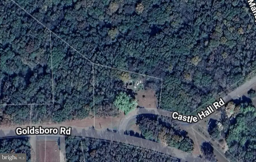 Goldsboro Rd, Denton, MD 21629 - Image #2