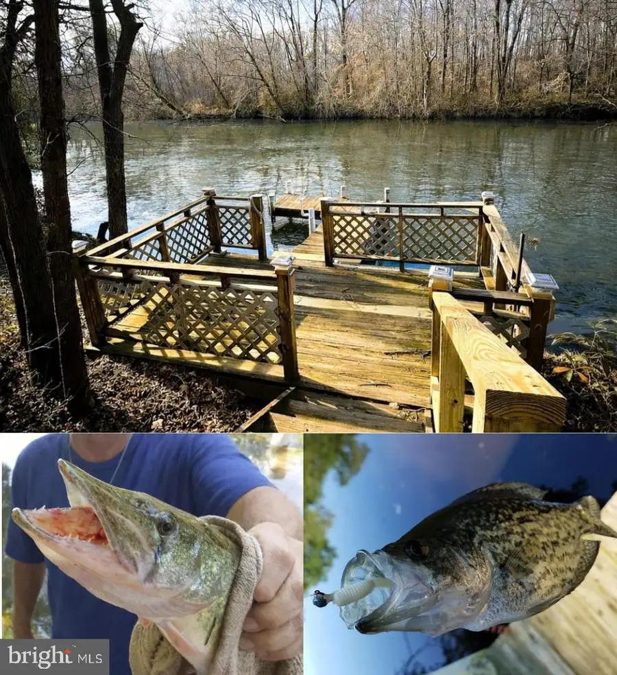 12820 Porters Landing Rd, Greensboro, MD 21639 - #3