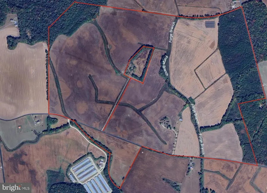 25056 E Cherry Ln, Greensboro, MD 21639 - #2