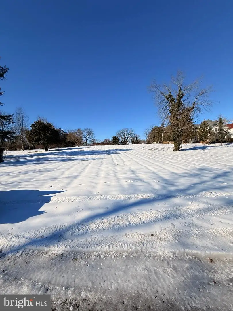 307 Buena Vista Ave, Federalsburg, MD 21632 - Image #2