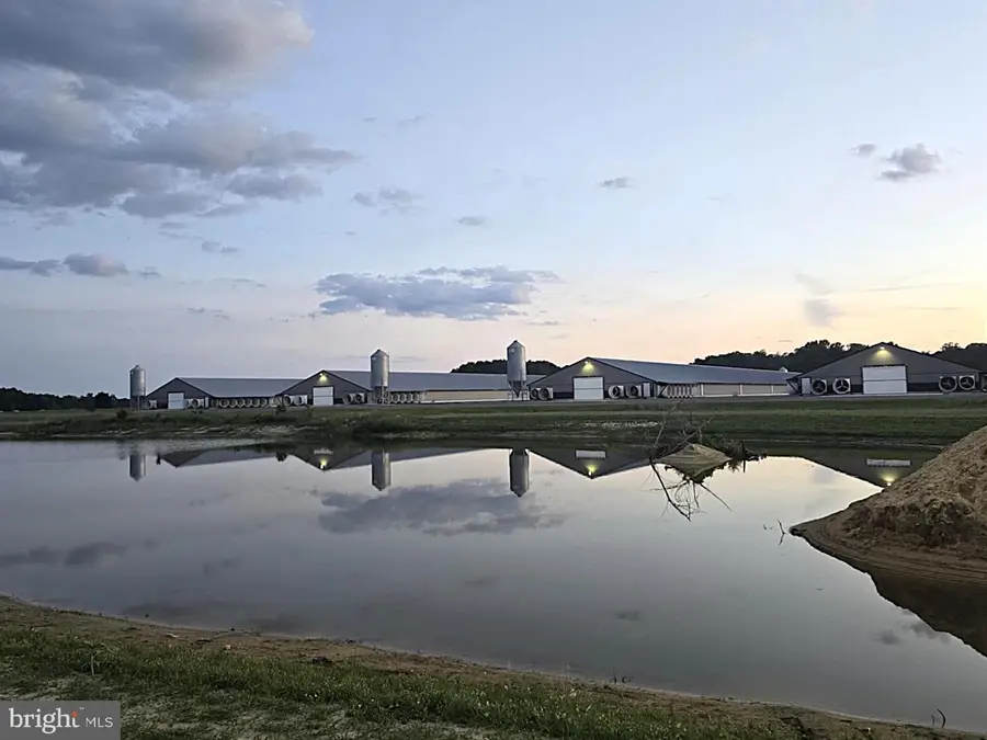 8019 Patten Rd, Denton, MD 21629 - #2