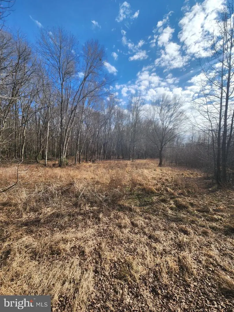 15589 Union Rd, Goldsboro, MD 21636 - #3