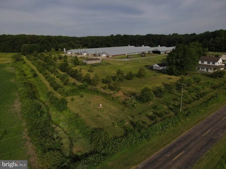 Cool Spring Rd, Marydel, MD 21649 - #2