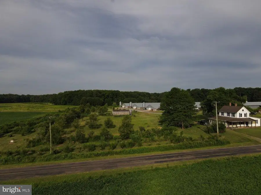 Cool Spring Rd, Marydel, MD 21649 - #3