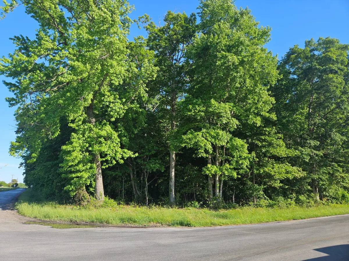 Lot 1 E Sunset Ave, Greensboro, MD 21639 - #1