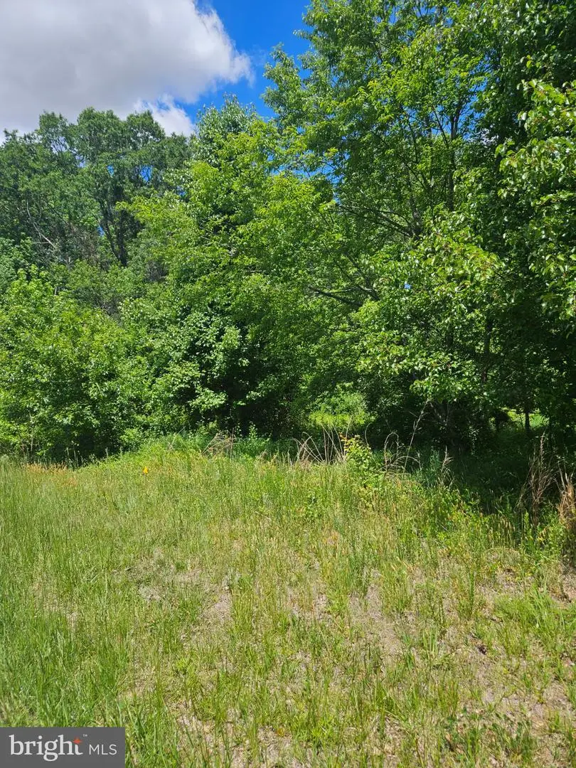 Lot 2 Burnt Mill Rd #lot #2, Ridgely, MD 21660 - #1
