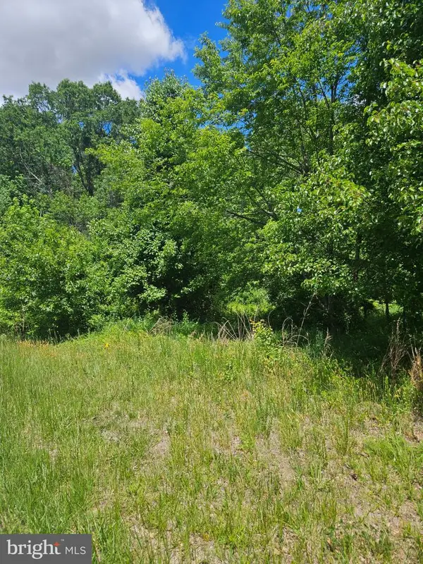 Lot 2 Burnt Mill Rd #lot #2, RIDGELY, MD 21660