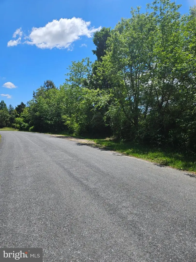 Lot 2 Burnt Mill Rd #lot #2, Ridgely, MD 21660 - #2