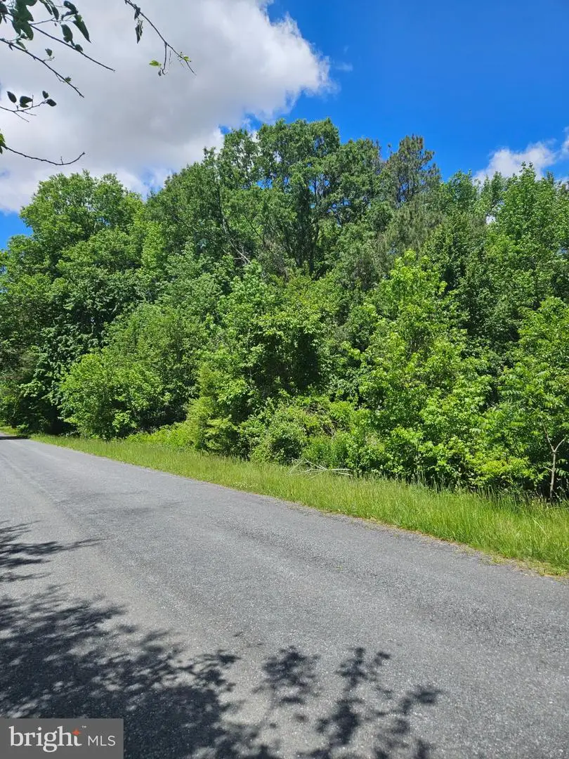 Lot 2 Burnt Mill Rd #lot #2, Ridgely, MD 21660 - #3