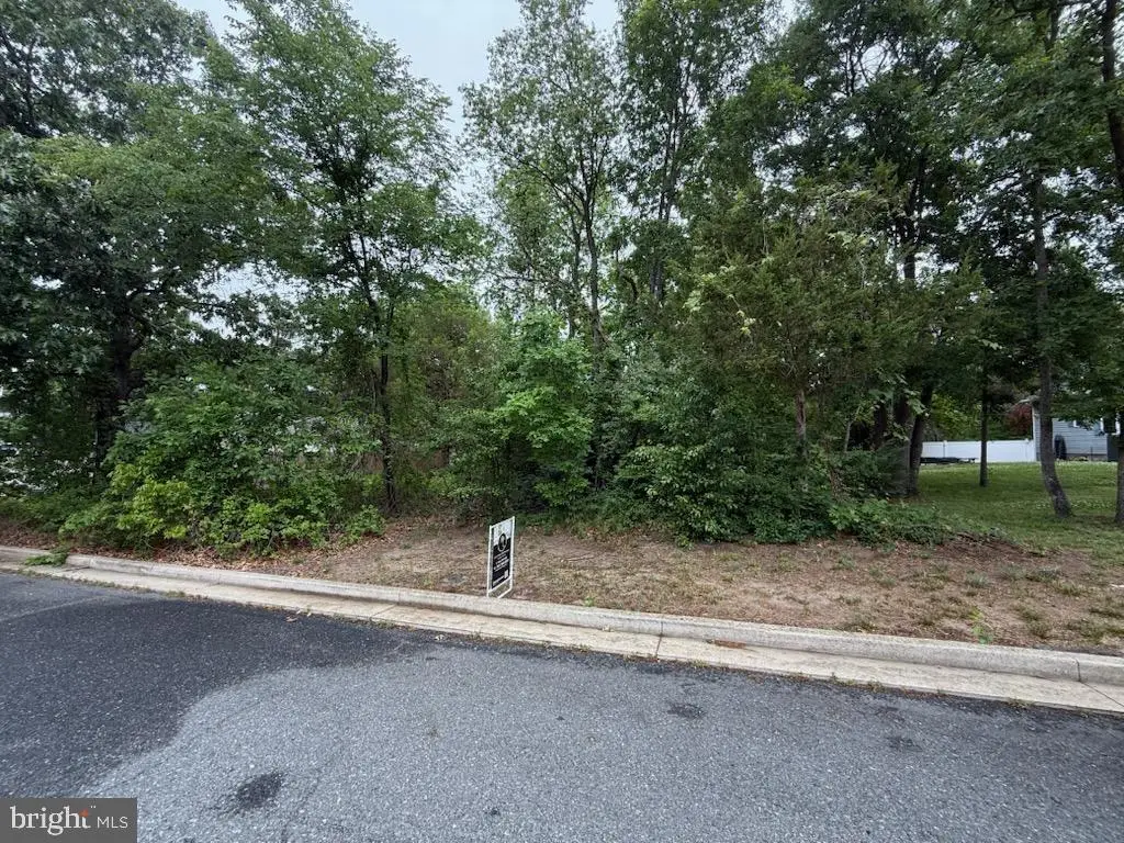 Charlotte Ave, Federalsburg, MD 21632 - #1