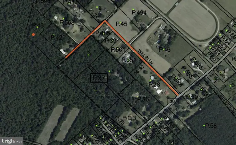 Houston Branch Rd, Federalsburg, MD 21632 - #2