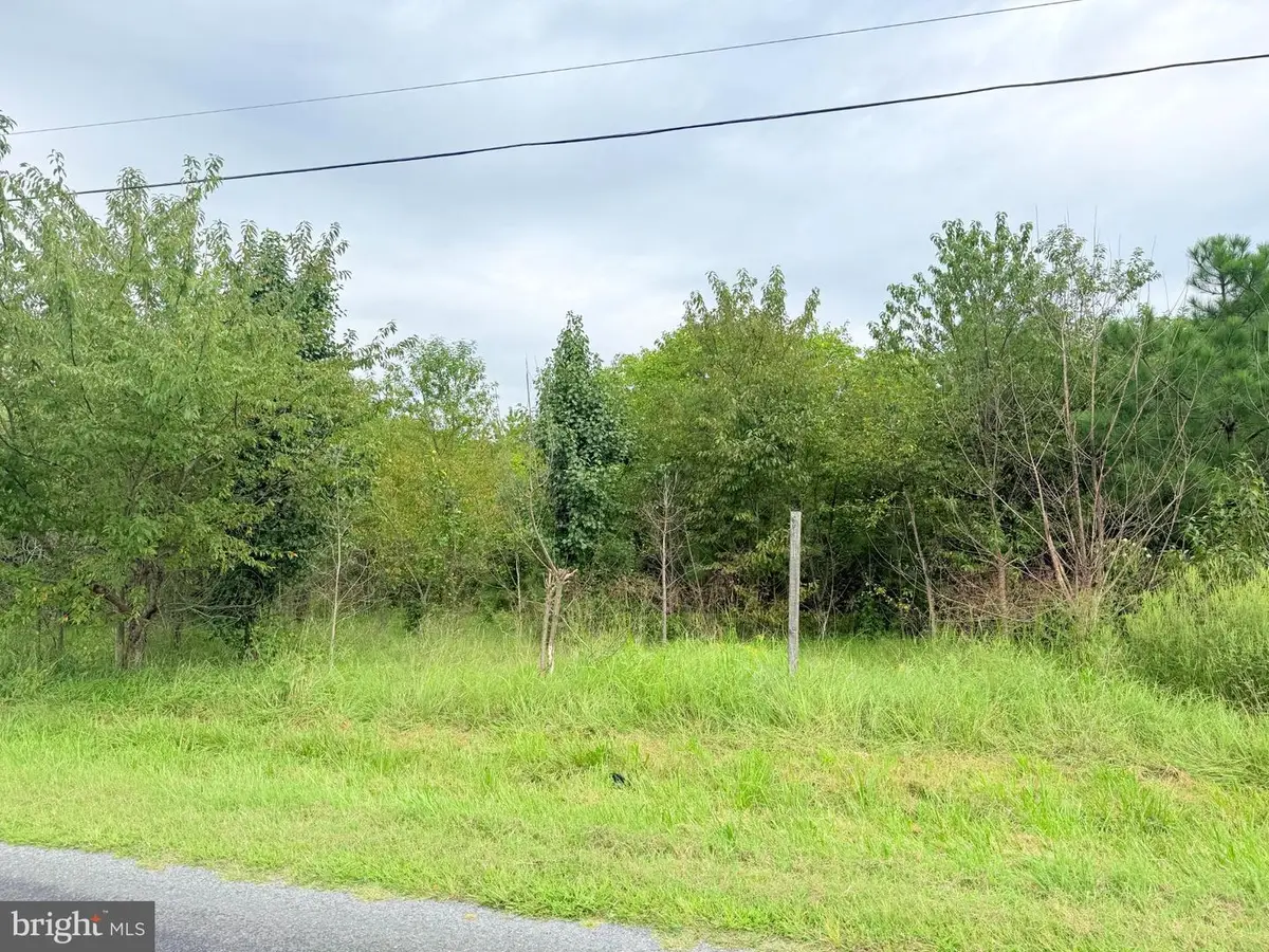 15441 Cutoff Rd, 2 Greensboro, MD 21640 - #1