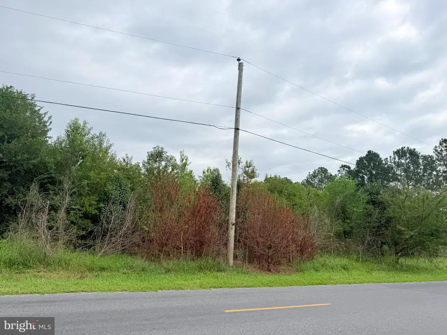 15441 Cutoff Rd, 2 Greensboro, MD 21640 - #2