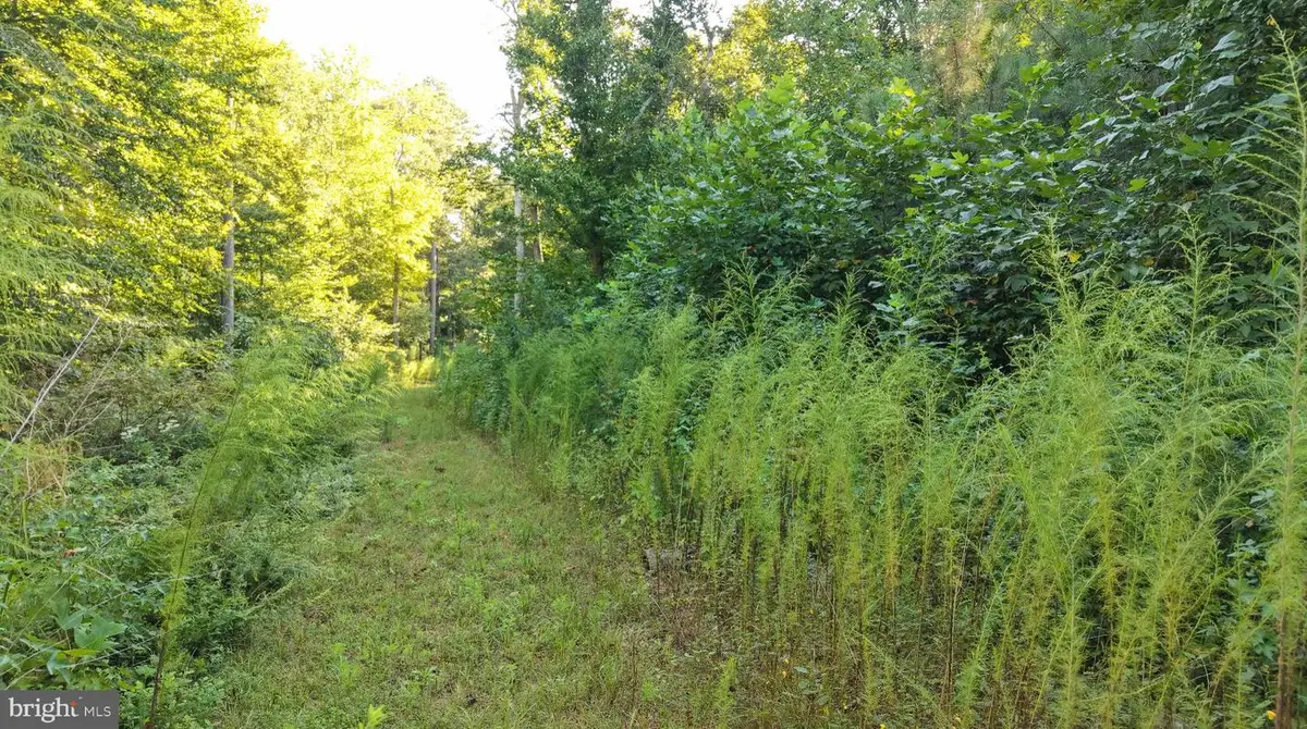 Parcel 3 Legion Rd, Denton, MD 21629 - #1