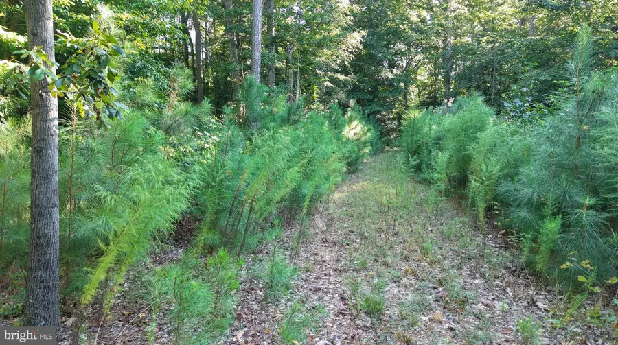 Parcel 3 Legion Rd, Denton, MD 21629 - #2