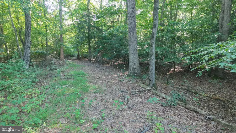 Parcel 3 Legion Rd, Denton, MD 21629 - #3