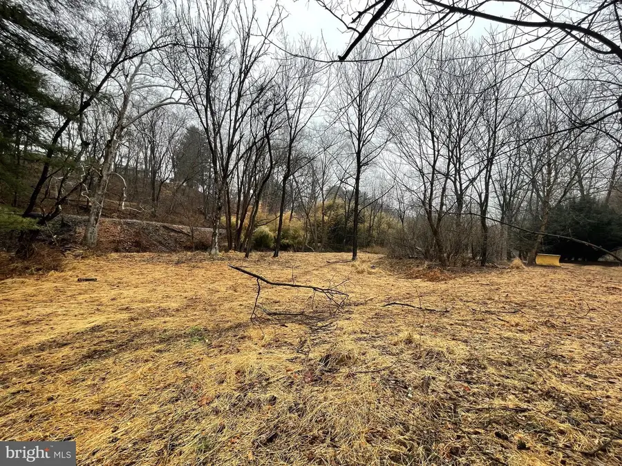 Flag Marsh Rd, Mount Airy, MD 21771 - #3