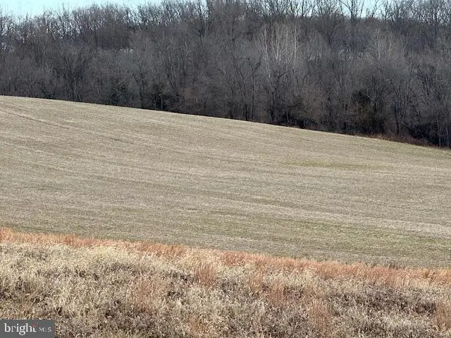 Brown Farm Lot #1 Cross Section Rd (near 2341 Cross Section Rd), Westminster, MD 21158 - #3