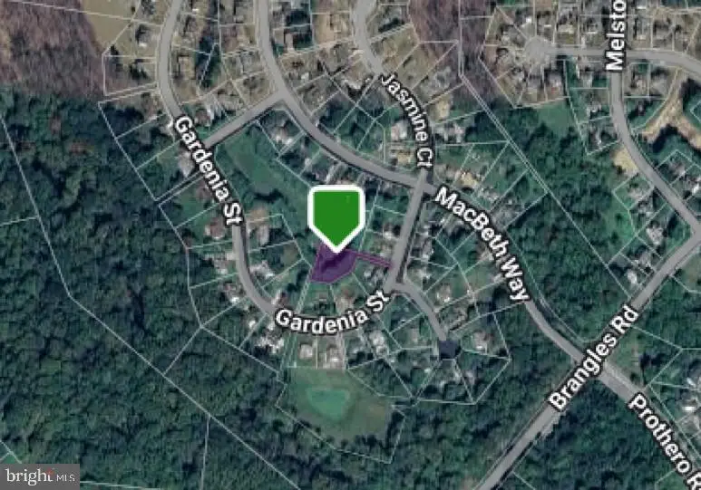 Open, Eldersburg, MD 21784 - #2