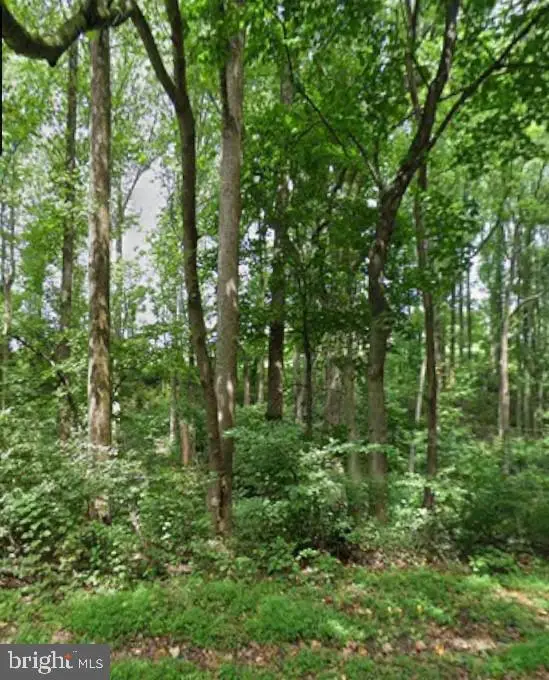 Hughes Shop Rd, WESTMINSTER, MD 21158