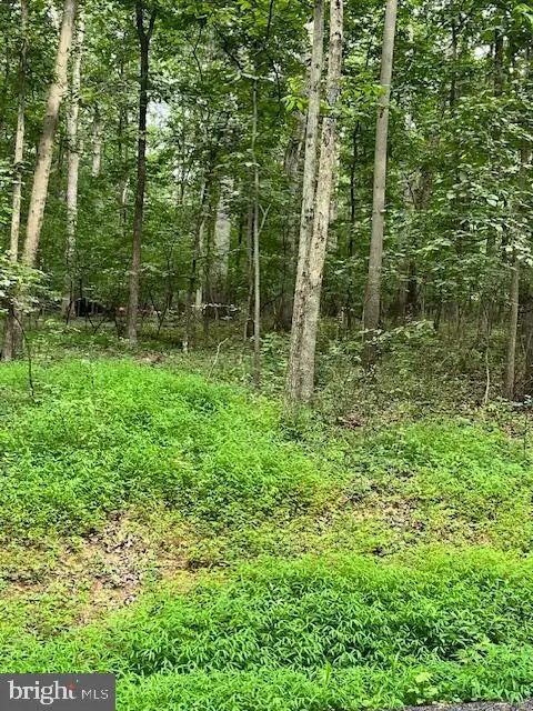 Baumgardner Rd S, Keymar, MD 21757 - #2