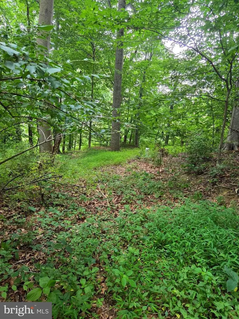 3500 Hawks Hill Rd #lot# 2, New Windsor, MD 21776 - #2