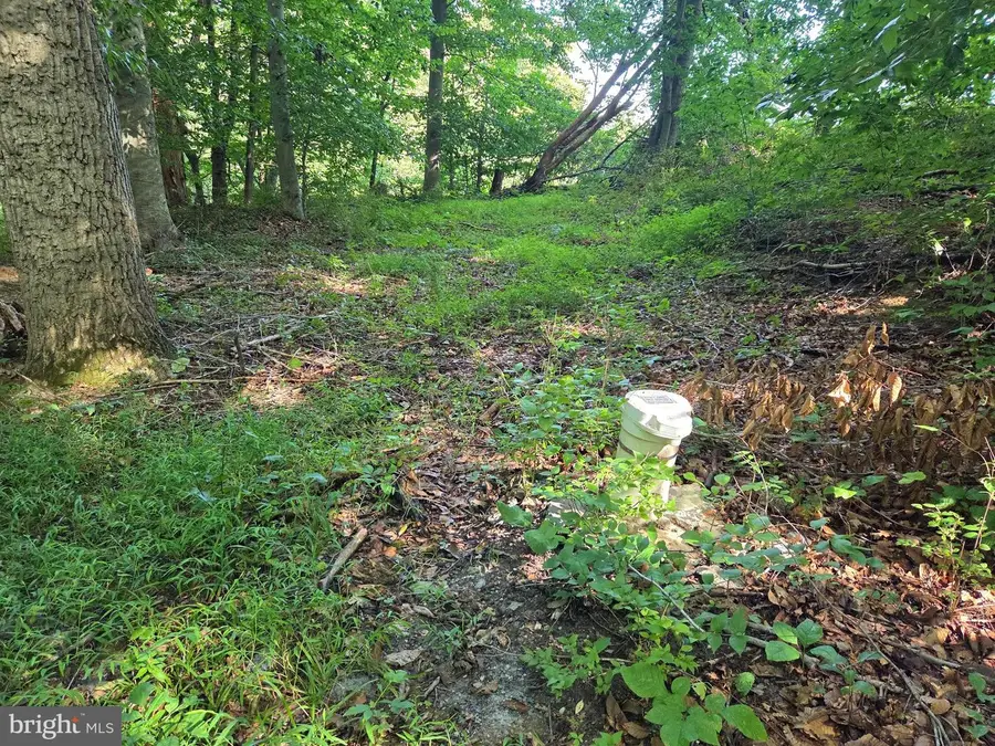 3500 Hawks Hill Rd #lot# 2, New Windsor, MD 21776 - #3